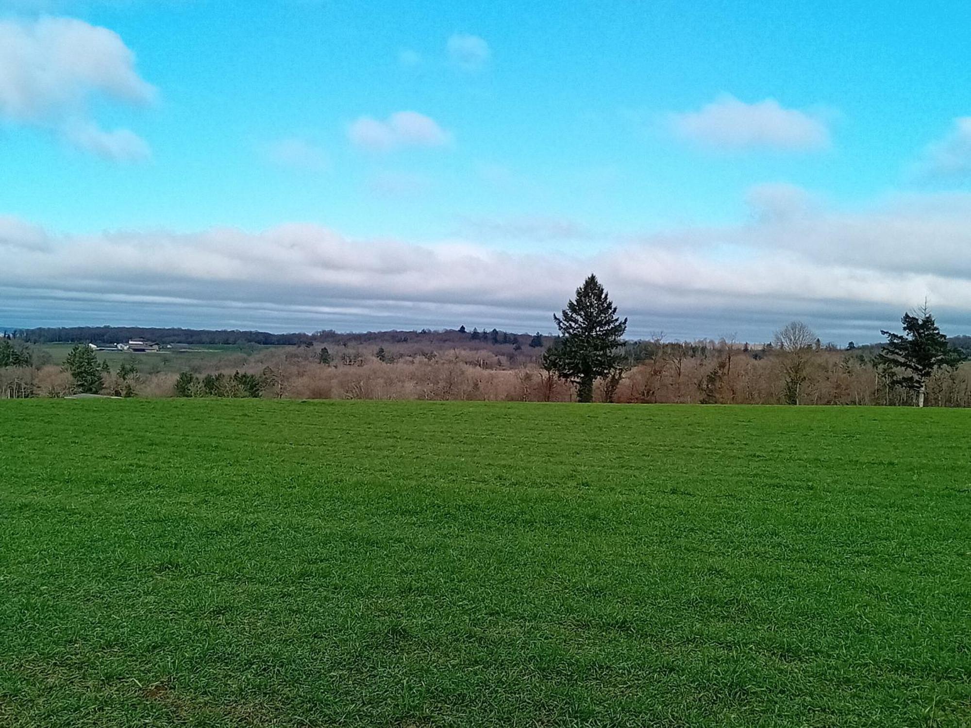 Tranquille Vienne A Dept Charente Ferienhaus