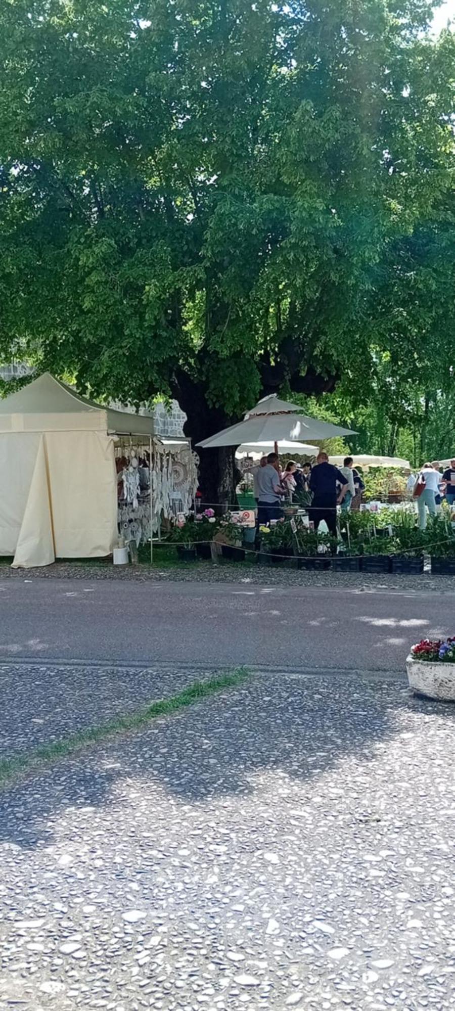 Holiday home Tranquille Vienne A Dept Charente